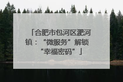 合肥市包河区淝河镇：“微服务”解锁“幸福密码”