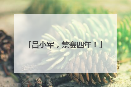 吕小军，禁赛四年！