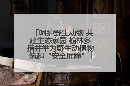 呵护野生动物 共建生态家园 榆林多措并举为野生动植物筑起“安全屏障”
