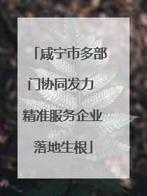咸宁市多部门协同发力 精准服务企业落地生根
