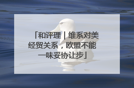 和评理｜维系对美经贸关系，欧盟不能一味妥协让步