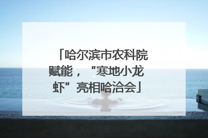 哈尔滨市农科院赋能，“寒地小龙虾”亮相哈洽会