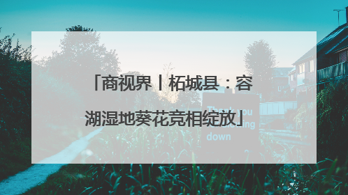 商视界丨柘城县：容湖湿地葵花竞相绽放