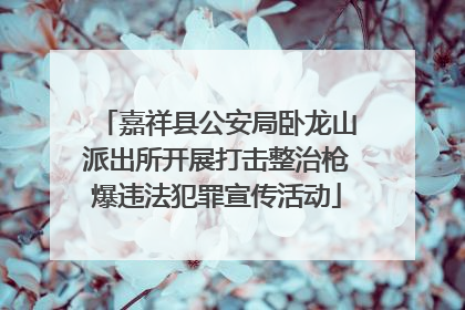 嘉祥县公安局卧龙山派出所开展打击整治枪爆违法犯罪宣传活动