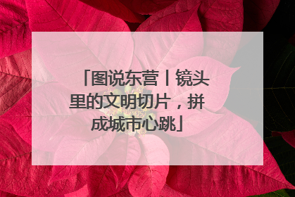 图说东营丨镜头里的文明切片，拼成城市心跳