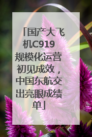 国产大飞机C919规模化运营初见成效，中国东航交出亮眼成绩单