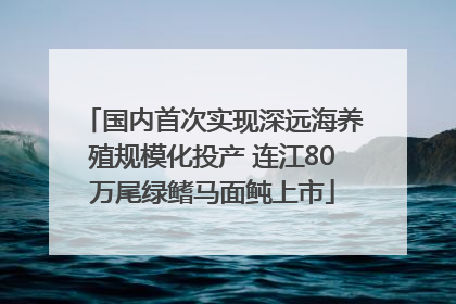 国内首次实现深远海养殖规模化投产 连江80万尾绿鳍马面鲀上市