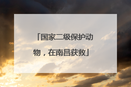 国家二级保护动物，在南昌获救