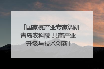 国家桃产业专家调研青岛农科院 共商产业升级与技术创新
