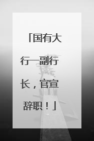 国有大行一副行长，官宣辞职！