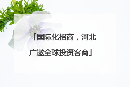国际化招商，河北广邀全球投资客商