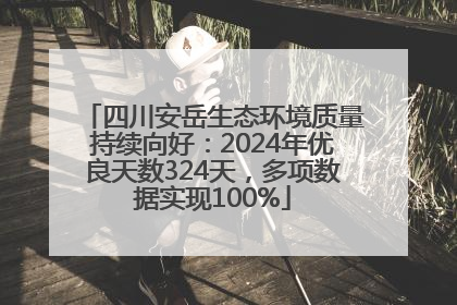 四川安岳生态环境质量持续向好：2024年优良天数324天，多项数据实现100%