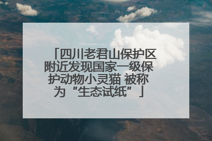 四川老君山保护区附近发现国家一级保护动物小灵猫 被称为“生态试纸”
