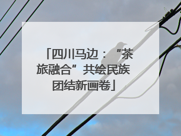 四川马边：“茶旅融合”共绘民族团结新画卷