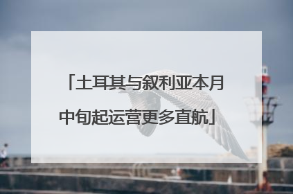 土耳其与叙利亚本月中旬起运营更多直航