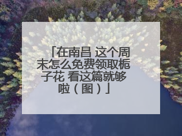 在南昌 这个周末怎么免费领取栀子花 看这篇就够啦（图）