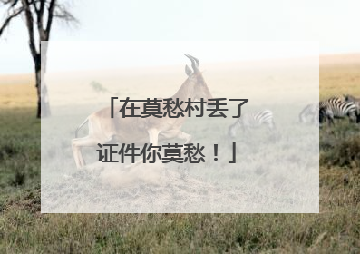在莫愁村丢了证件你莫愁！
