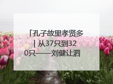 孔子故里孝贤多｜从37只到320只——刘健让泗水裘皮羊重生