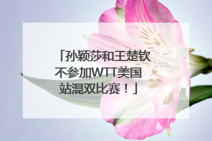 孙颖莎和王楚钦不参加WTT美国站混双比赛！