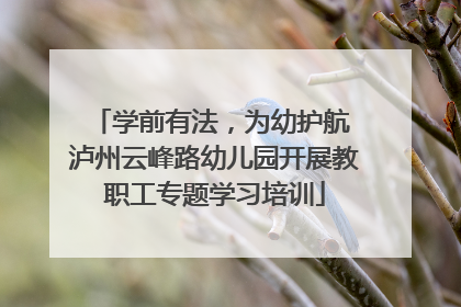 学前有法，为幼护航 泸州云峰路幼儿园开展教职工专题学习培训