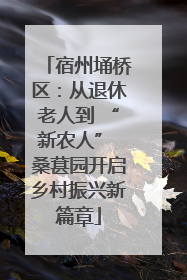 宿州埇桥区：从退休老人到 “新农人” 桑葚园开启乡村振兴新篇章