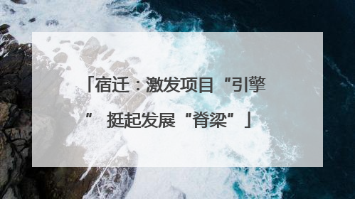宿迁：激发项目“引擎” 挺起发展“脊梁”