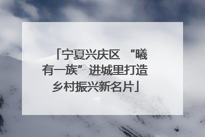宁夏兴庆区 “曦有一族”进城里打造乡村振兴新名片