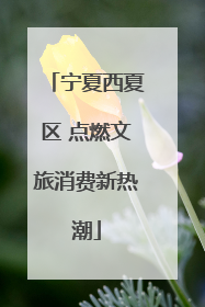 宁夏西夏区 点燃文旅消费新热潮