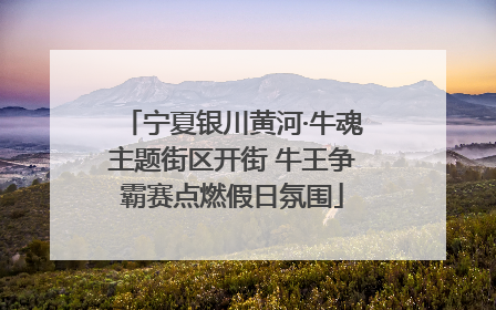 宁夏银川黄河·牛魂主题街区开街 牛王争霸赛点燃假日氛围