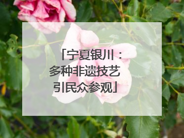 宁夏银川：多种非遗技艺引民众参观