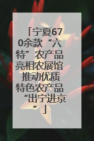 宁夏670余款“六特”农产品亮相农展馆 推动优质特色农产品“出宁进京”