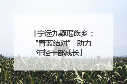 宁远九疑瑶族乡：“青蓝结对” 助力年轻干部成长