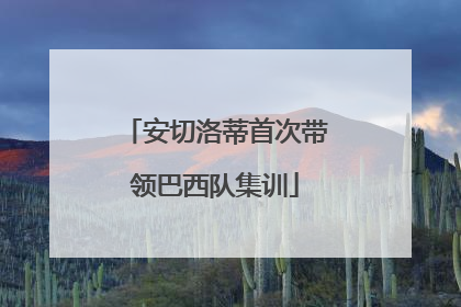 安切洛蒂首次带领巴西队集训