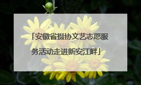 安徽省摄协文艺志愿服务活动走进新安江畔