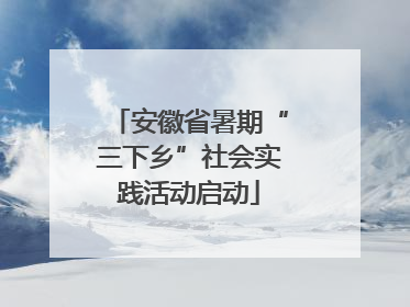 安徽省暑期“三下乡”社会实践活动启动