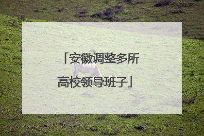安徽调整多所高校领导班子