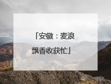安徽：麦浪飘香收获忙