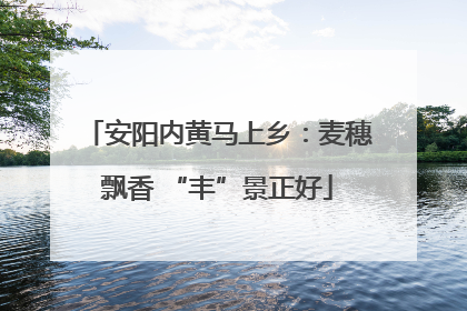 安阳内黄马上乡：麦穗飘香 “丰”景正好