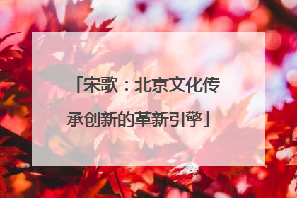 宋歌：北京文化传承创新的革新引擎