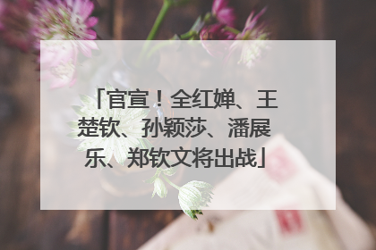 官宣！全红婵、王楚钦、孙颖莎、潘展乐、郑钦文将出战