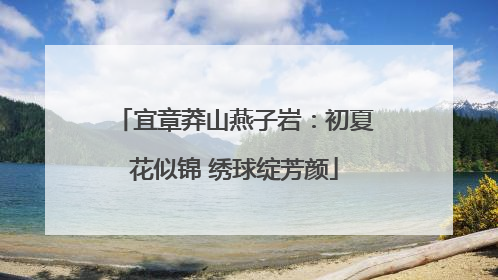 宜章莽山燕子岩：初夏花似锦 绣球绽芳颜