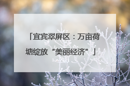 宜宾翠屏区：万亩荷塘绽放“美丽经济”