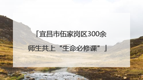 宜昌市伍家岗区300余师生共上“生命必修课”