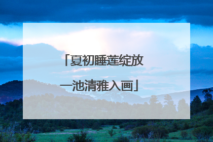 夏初睡莲绽放 一池清雅入画