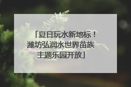 夏日玩水新地标！潍坊弘润水世界苗族主题乐园开放