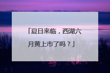 夏日来临，西湖六月黄上市了吗？