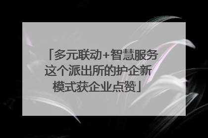 多元联动+智慧服务 这个派出所的护企新模式获企业点赞