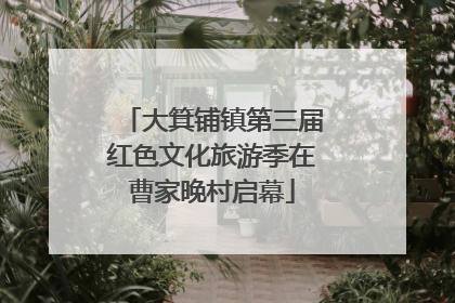 大箕铺镇第三届红色文化旅游季在曹家晚村启幕