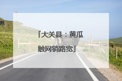 大关县：黄瓜触网销路宽