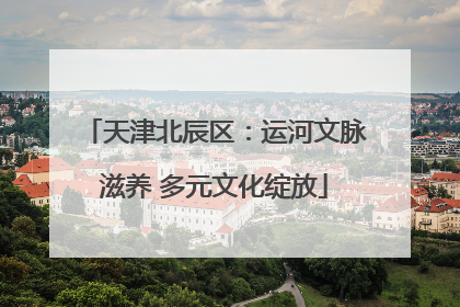 天津北辰区：运河文脉滋养 多元文化绽放